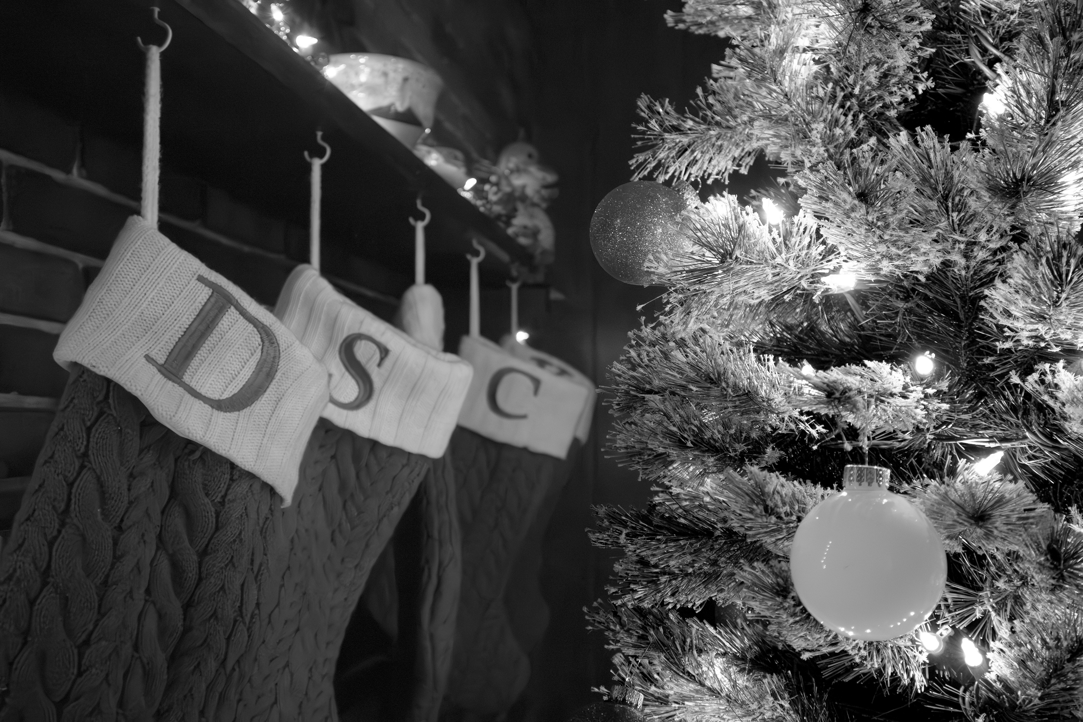 christmas photography